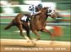 Article at Gold Eagle - last post by Spectacular Bid