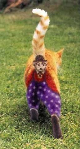 catpainting.jpg