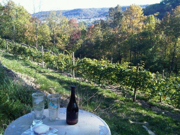 vinyard_view.jpg